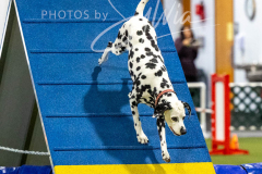 12-8-9-10-Jen-Pinder-2425