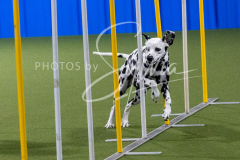 12-8-9-10-Jen-Pinder-2428