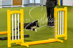 12-8-9-10-Jen-Pinder-243