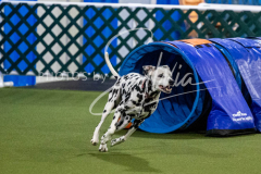 12-8-9-10-Jen-Pinder-2438