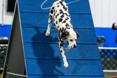 12-8-9-10-Jen-Pinder-2444