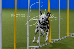 12-8-9-10-Jen-Pinder-2458