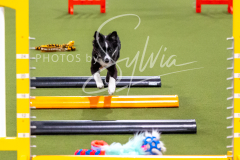 12-8-9-10-Jen-Pinder-246