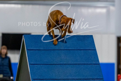 12-8-9-10-Jen-Pinder-2468