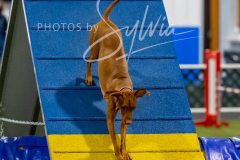 12-8-9-10-Jen-Pinder-2469