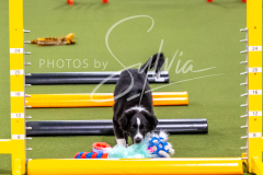 12-8-9-10-Jen-Pinder-247