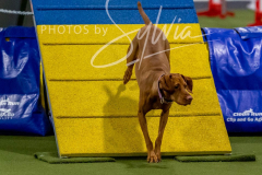 12-8-9-10-Jen-Pinder-2470