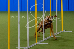 12-8-9-10-Jen-Pinder-2472