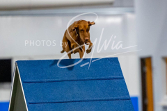 12-8-9-10-Jen-Pinder-2482