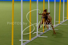 12-8-9-10-Jen-Pinder-2487