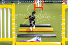 12-8-9-10-Jen-Pinder-249