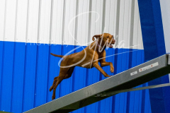 12-8-9-10-Jen-Pinder-2492