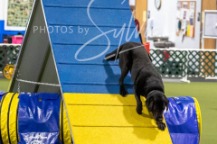 12-8-9-10-Jen-Pinder-2503