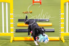 12-8-9-10-Jen-Pinder-251