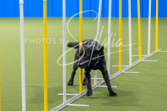 12-8-9-10-Jen-Pinder-2510