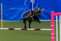 12-8-9-10-Jen-Pinder-2519