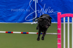 12-8-9-10-Jen-Pinder-2520