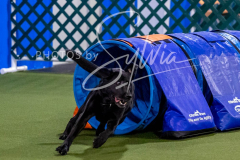 12-8-9-10-Jen-Pinder-2522