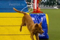 12-8-9-10-Jen-Pinder-2532