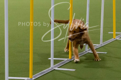 12-8-9-10-Jen-Pinder-2536