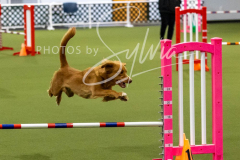 12-8-9-10-Jen-Pinder-2539