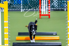 12-8-9-10-Jen-Pinder-254