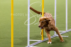 12-8-9-10-Jen-Pinder-2544