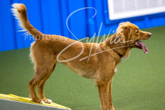 12-8-9-10-Jen-Pinder-2546