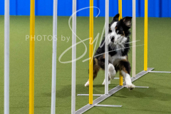 12-8-9-10-Jen-Pinder-2553