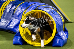 12-8-9-10-Jen-Pinder-2567