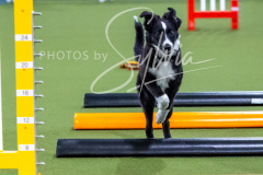 12-8-9-10-Jen-Pinder-257