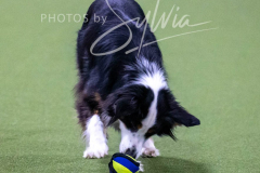 12-8-9-10-Jen-Pinder-2570