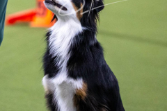 12-8-9-10-Jen-Pinder-2577