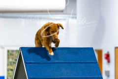 12-8-9-10-Jen-Pinder-2582