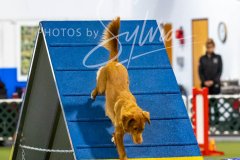 12-8-9-10-Jen-Pinder-2583