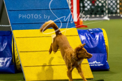 12-8-9-10-Jen-Pinder-2584