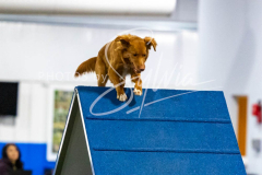 12-8-9-10-Jen-Pinder-2585