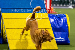 12-8-9-10-Jen-Pinder-2586