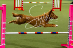 12-8-9-10-Jen-Pinder-2587