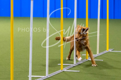 12-8-9-10-Jen-Pinder-2590