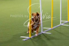 12-8-9-10-Jen-Pinder-2594