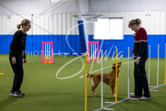 12-8-9-10-Jen-Pinder-2596