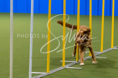 12-8-9-10-Jen-Pinder-2605