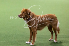 12-8-9-10-Jen-Pinder-2621