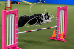 12-8-9-10-Jen-Pinder-2630