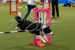 12-8-9-10-Jen-Pinder-2631