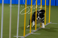 12-8-9-10-Jen-Pinder-2633