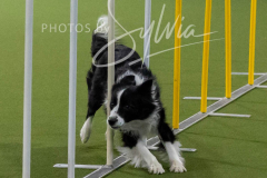 12-8-9-10-Jen-Pinder-2634