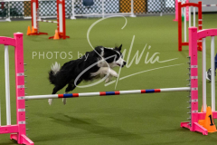 12-8-9-10-Jen-Pinder-2635