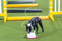 12-8-9-10-Jen-Pinder-265